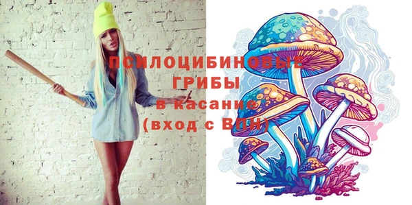 мдма Бородино