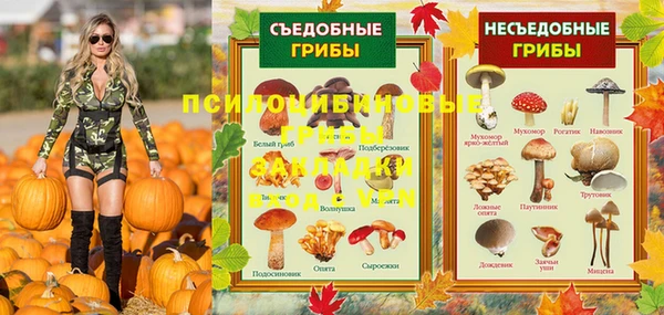 мдма Бородино