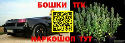 шишки Абакан