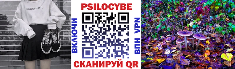 где купить наркоту Буйнакск Псилоцибиновые грибы Magic Shrooms