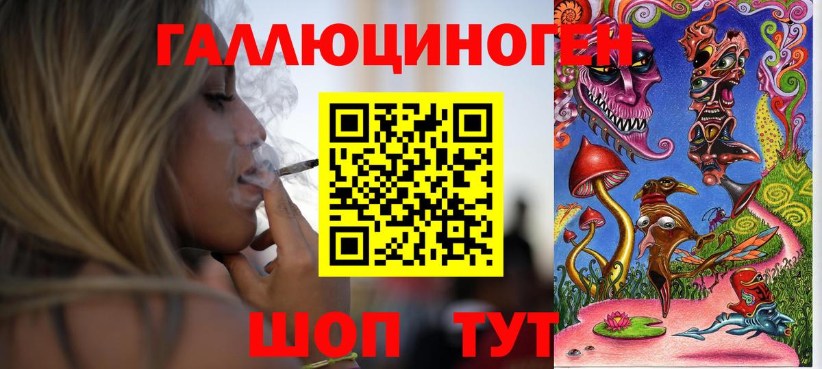 Псилоцибиновые грибы MAGIC MUSHROOMS  Вход с VPN  купить наркотик  Галлюциногенные грибы Psilocybine cubensis  Буйнакск 