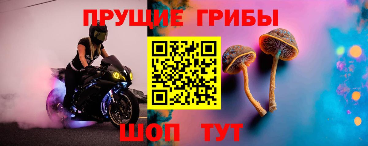 Галлюциногенные грибы Cubensis Буйнакск