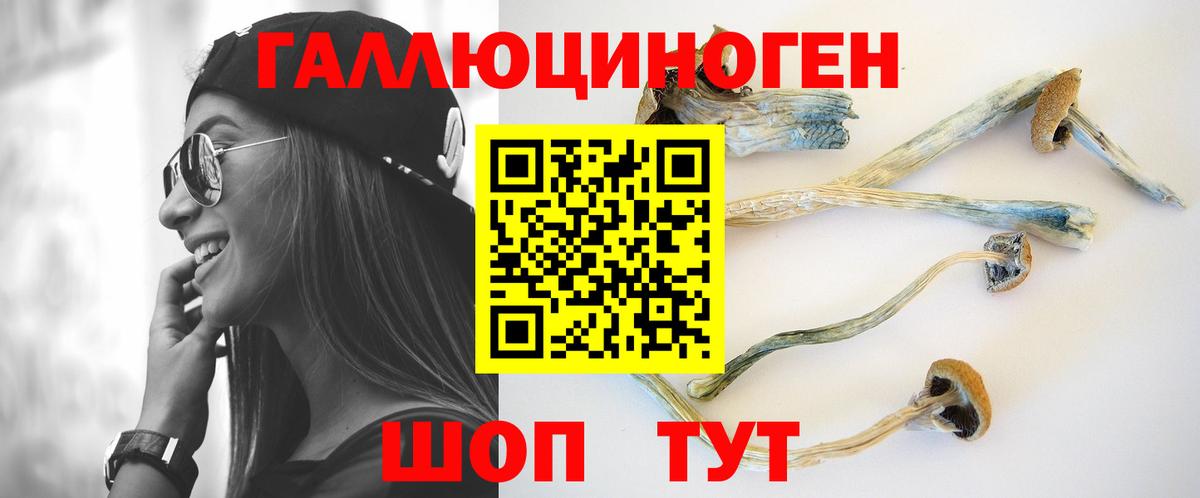 МАРИХУАНА Буйнакск