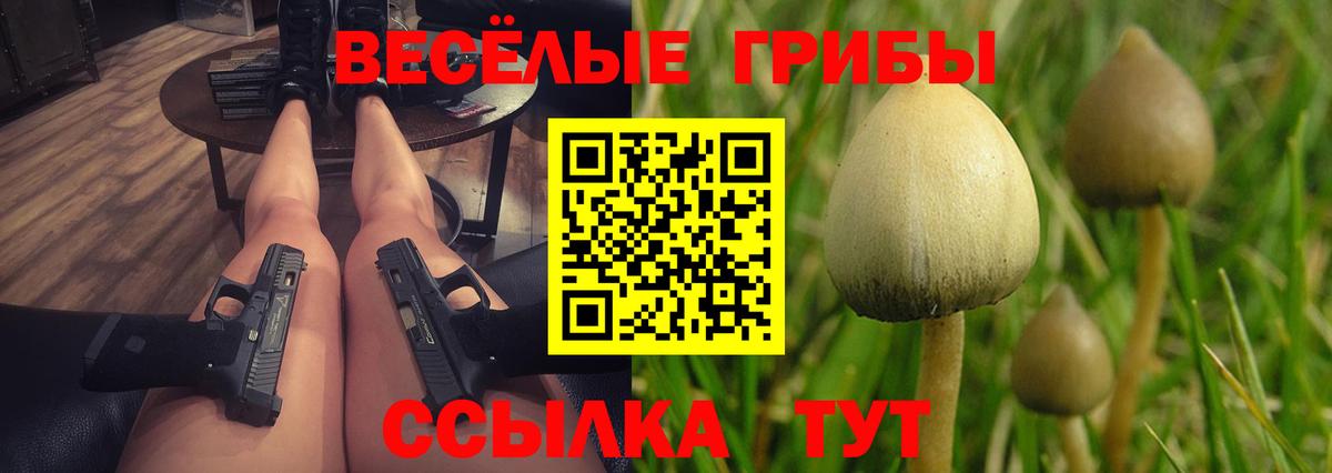 Буйнакск  Галлюциногенные грибы Magic Shrooms  Вход с VPN 
