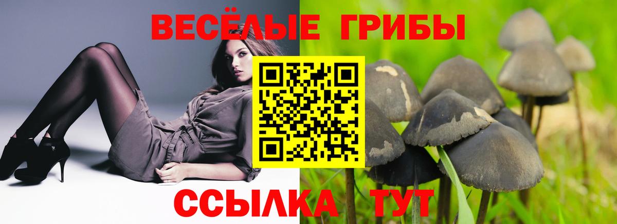 Галлюциногенные грибы Magic Shrooms Буйнакск